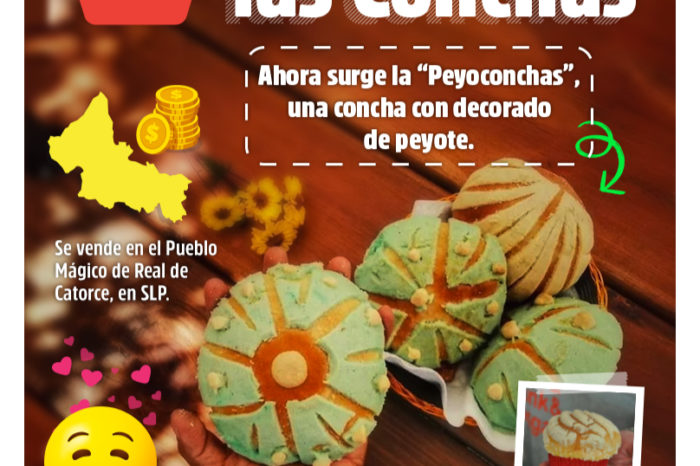 LA MODA DE LAS CONCHAS