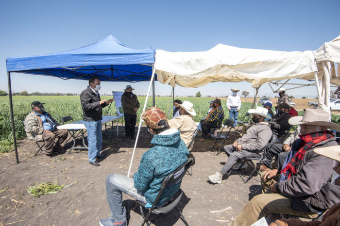 El Marqués lleva demostración de cultivo de ebo+avena a sus productores