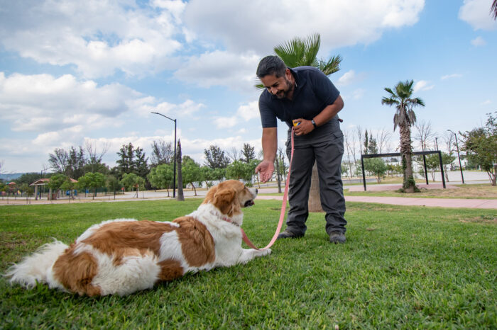 Inicia CAAM de El Marqués adiestramiento canino