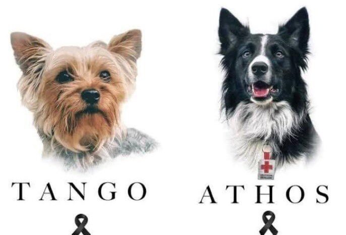 ¿Quién eran Athos y Tango?