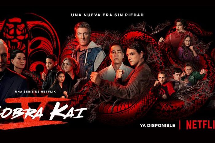 Por fin llegó la 5 Temporada de Cobra Kai