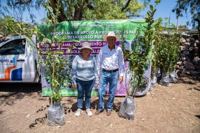 Municipio de El Marqués entrega árboles frutales a productoras agropecuarias para fomentar el autoconsumo