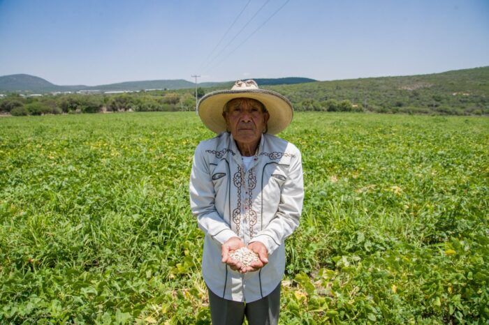 Municipio de El Marqués realiza convenio con INIFAP para capacitar a productores de frijol