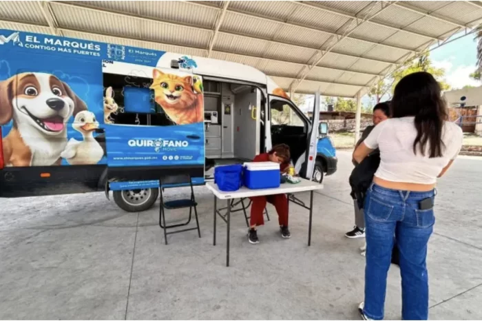 Inicia El Marqués campaña de vacunación antirrábica en perros y gatos