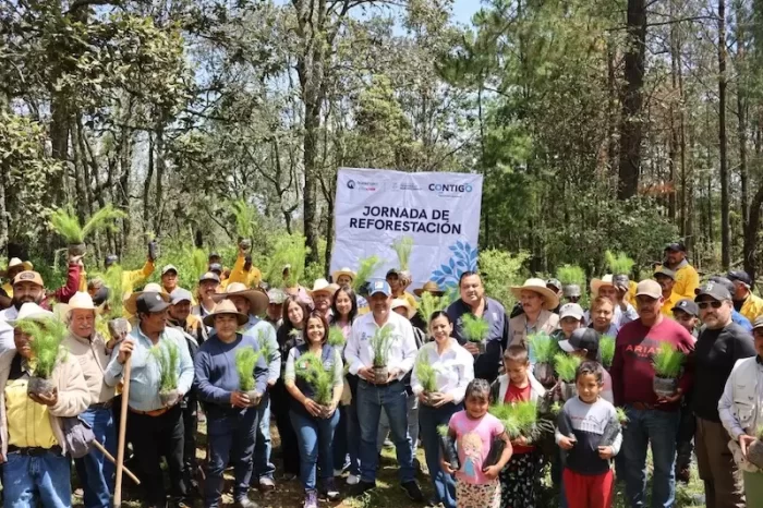Querétaro suma casi 200 mil árboles plantados en reforestación estatal