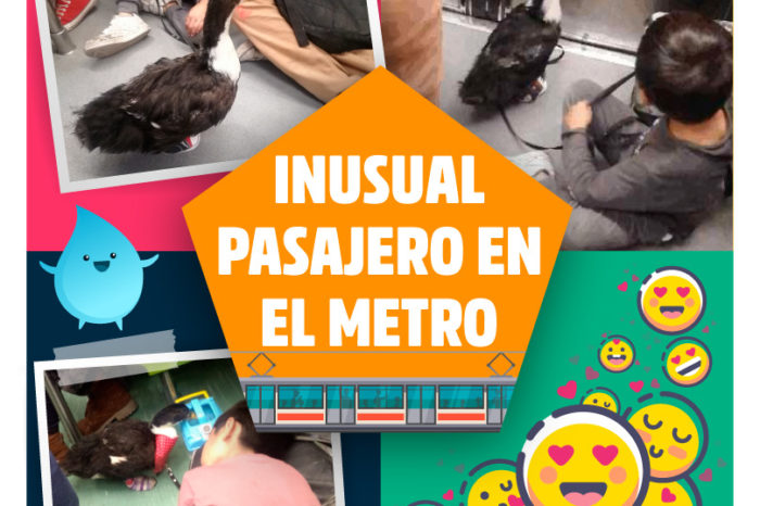 INUSUAL PASAJERO EN EL METRO