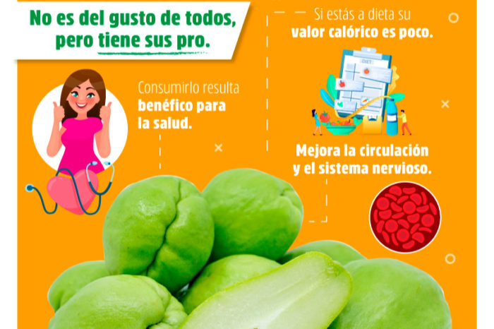 CHAYOTE EL FRUTO DE LA CONTROVERSIA