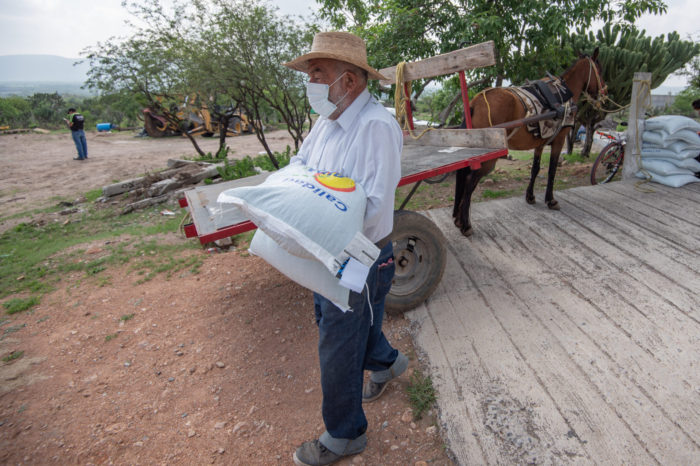 Productores de El Marqués reciben semillas de frijol