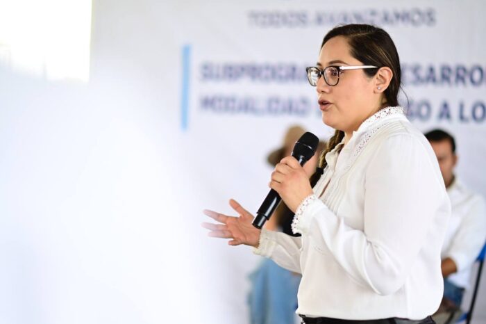 Realiza SEDESOQ mejoras en viviendas de Pedro Escobedo