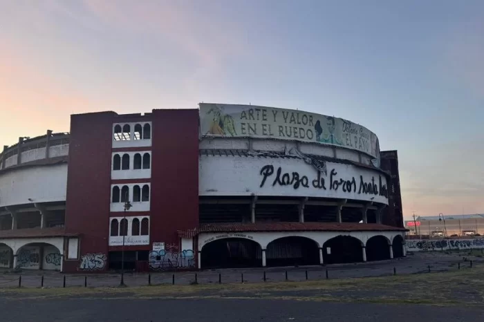 Frenan corridas de toros en la capital de Querétaro: juez concede amparo a Animal Héroes