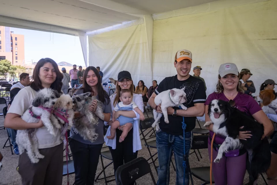 Municipio de El Marqués realizará 10 mil esterilizaciones gratuitas para perros y gatos