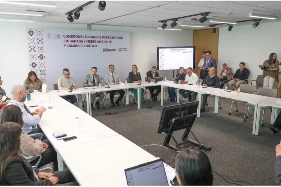 Ley de Bienestar Animal en Querétaro avanza con captura, esterilización y retorno de animales comunitarios